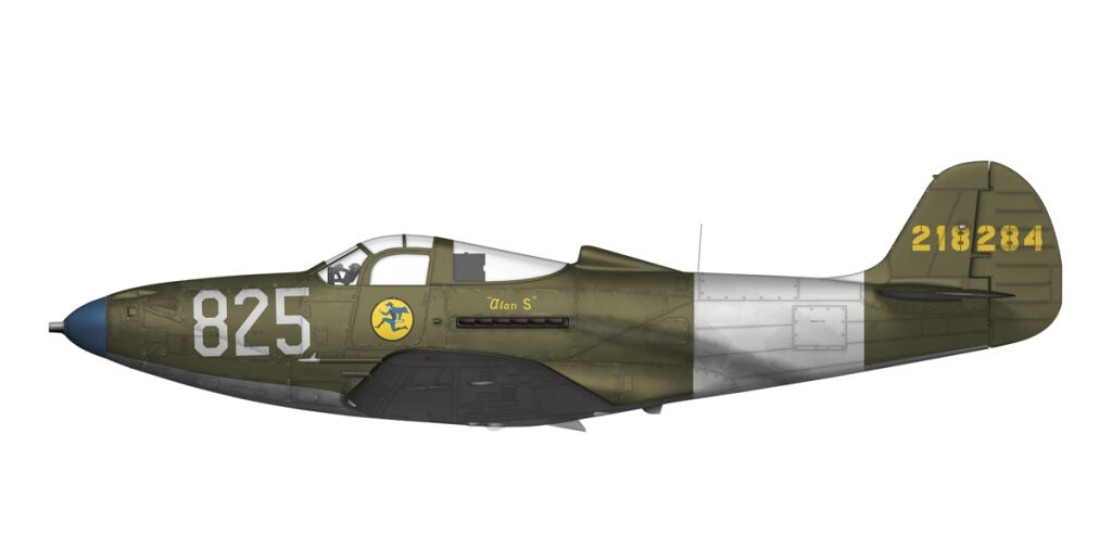 Arma Hobby 40013 P-39 Airacobra RECON 1/48 – zdjęcie 9