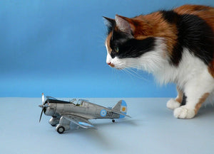 Clear Prop! CP4803 H-75O Hawk ADVANCED KIT 1/48 – image 18