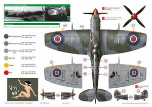 Exito ED48003 DECALS Sexy Spitfires - Supermarine Spitfire LF Mk Vb - VIII - IXe 1/48 – zdjęcie 7