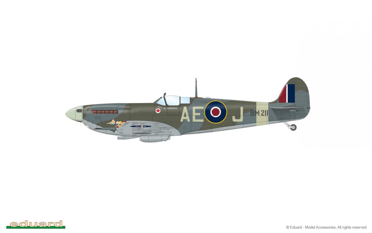 Eduard 84186 Spitfire Mk. Vb mid 1/48 – immagine 10