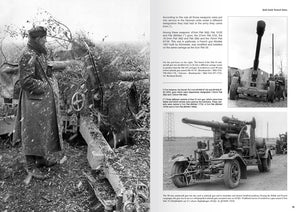 Abteilung 502 ABT751 PANZERJÄGER Armes et organisation des unités antichar de la Wehrmacht (1935-1945) – image 2