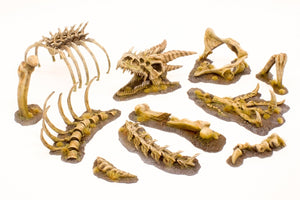 Paint Forge PFRB5001 Dragon Bones Big Set – image 2