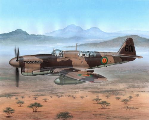 Special Hobby 48151 Fairey Firefly Mk.I Foreign Post War Service 1/48