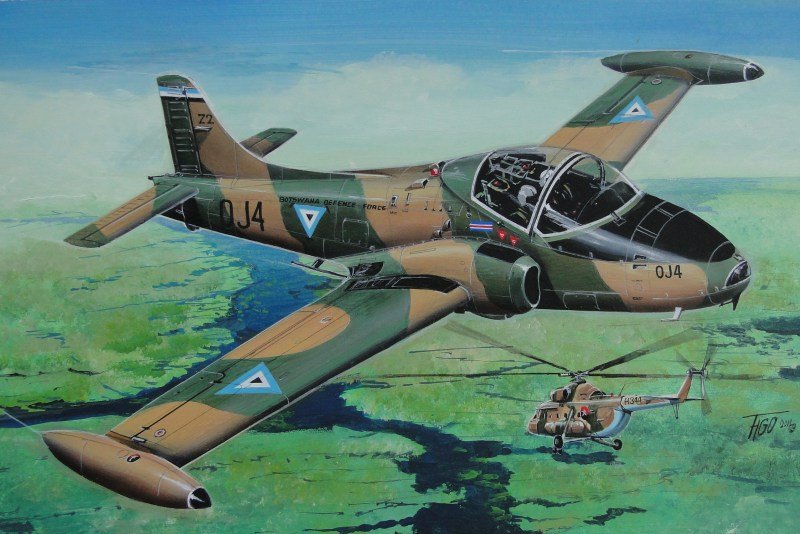 Fly 48016 BAC 167 Strikemaster Jet Provost T.5/T.5A 1/48 – zdjęcie 2