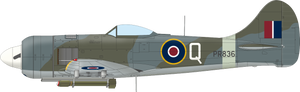 Eduard 11164 The Ultimate Tempest Limited Edition 1/48 – image 15