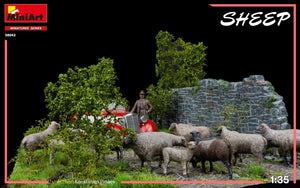 MiniArt 38042 SHEEP 1/35 – zdjęcie 7