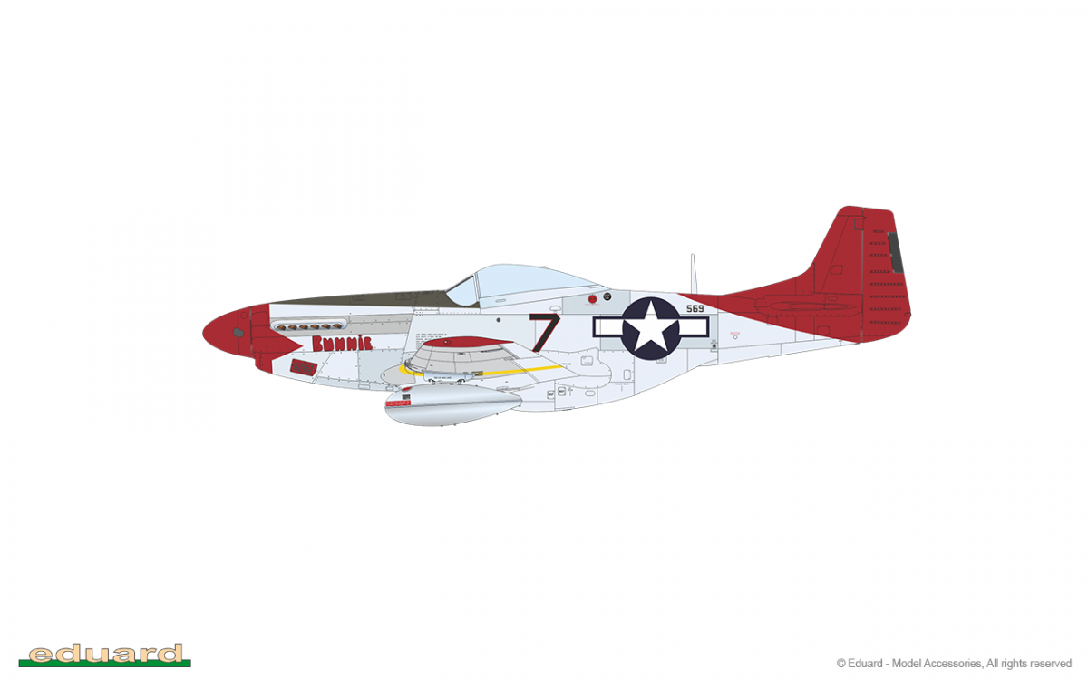Eduard 11159 RED TAILS &amp;amp; Co. DUAL COMBO 1/48 – image 23