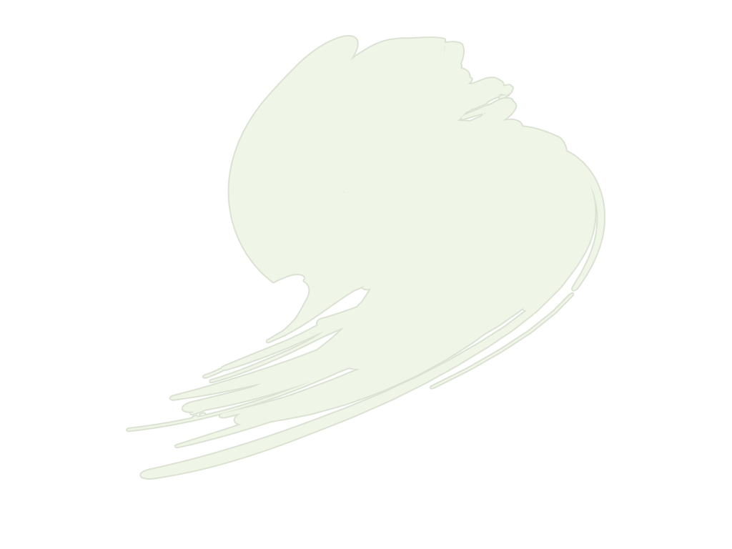 Hataka HTK-B049 Insignia White (FS17875, ANA 511)