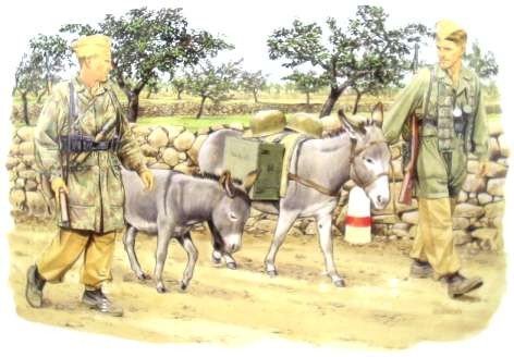 Dragon 6077 GERMAN FALLSCHIRMJAGER W/ DONKEYS 1/35