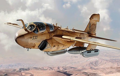 Italeri 2698 Grumman EA-6B Prowler 1/48