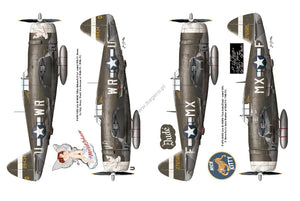 Kagero 12015 Thunderbolts of the U.S. 8th Army Air Force March 1943 - February 1944 EN – zdjęcie 4