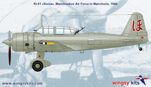 Wingsy Kits D5-06 IJA Type 99 Ki-51 “Sonia” at other services 1/48 – image 7
