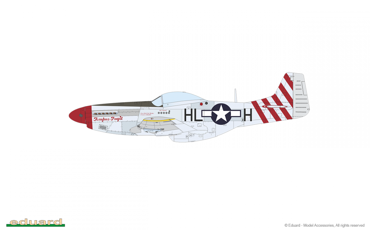 Eduard 11159 RED TAILS &amp;amp; Co. DUAL COMBO 1/48 – image 14