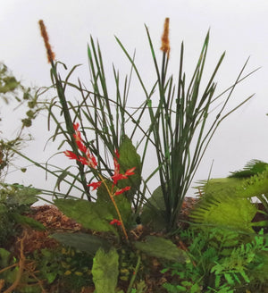 RT-Diorama 35620 Jungle Grass 1/35 – zdjęcie 5