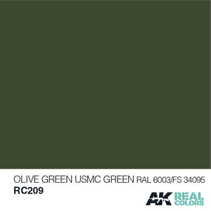 AK Interactive RC209 OLIVE GREEN/USMC GREEN RAL 6003/FS34095 10ML – image 2