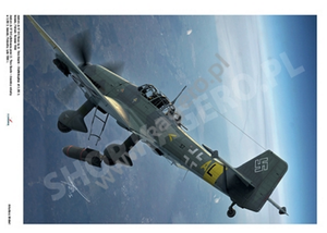 Kagero 7077 Junkers Ju 87 D, G EN/PL – zdjęcie 6