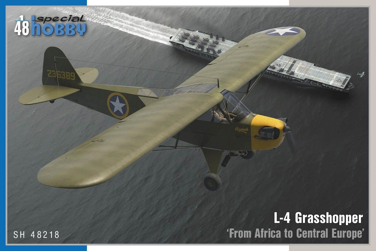 Special Hobby 48218 L-4 Grasshopper « De l'Afrique à l'Europe centrale » 1/48