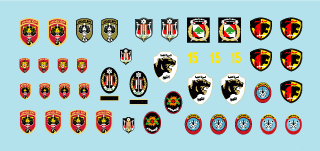 Star Decals 35-C1114 Lebanese Tanks &amp;amp; AFVs 7 1/35 – image 3