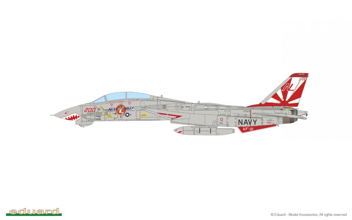 Eduard D48105 F-14A TAMIYA 1/48 – image 9
