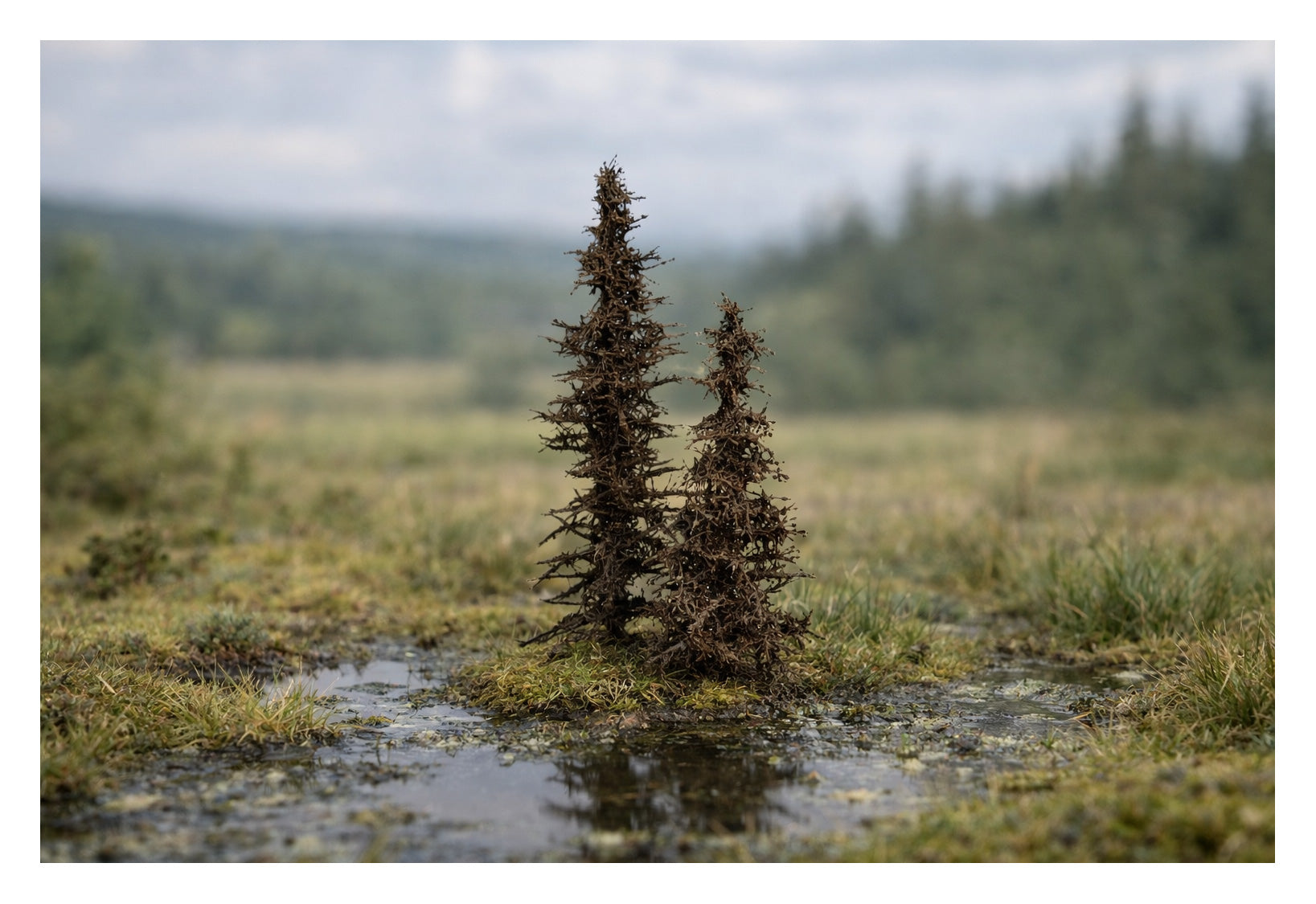 Model Scene SP099 Standing Dead Spruces - 7/10cm