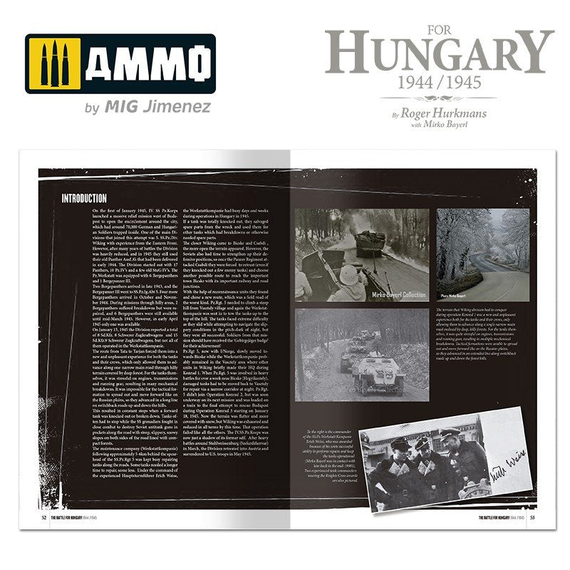 Ammo of Mig 6280 The Battle for Hungary 1944/1945 (English) – image 8