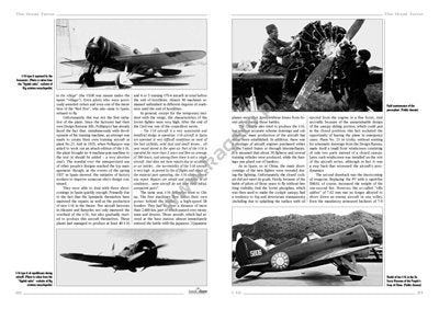 Kagero 96014 I-16 Rata. The fighter that saved the USSR Special Edition – immagine 2