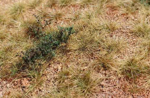 Scene F340 San Pedro desert model 1/35