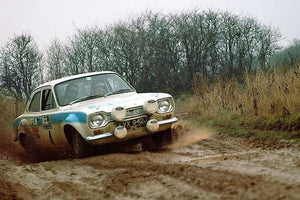 Zero Paints ZP-1332 Ford Escort RS1600 Mk1 WRC Diamond White Paint 60ml (Belkits) – image 4