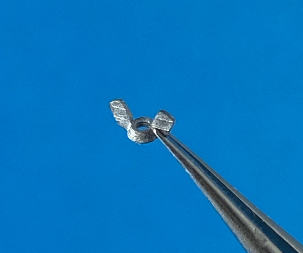 Point of no Return 1623006 M16 wing nuts 1/16 – image 6