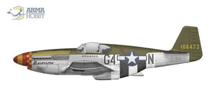 Arma Hobby 70041 P-51B Mustang 1/72 – image 9