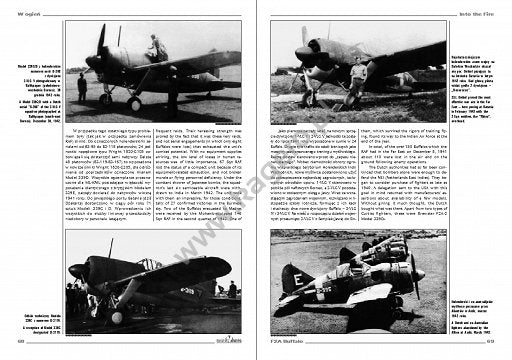 Kagero 3002 Brewster F2A Buffalo EN/PL (no decals) – zdjęcie 2