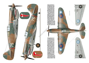 Kagero 3036 Curtiss P-40 vol. I EN – zdjęcie 3