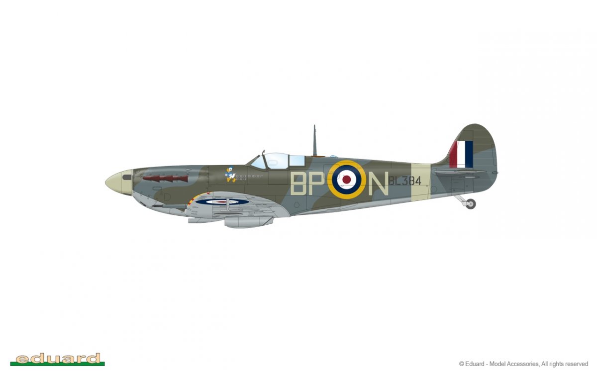 Eduard 84186 Spitfire Mk. Vb mid 1/48 – immagine 11