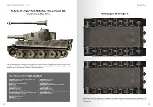 Abteilung 502 ABT760 TANKS OF THE WEHRMACHT WWII · CARLOS DE DIEGO VAQUERIZO – zdjęcie 2