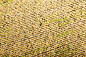 Model Scene F403 Stubble field – imagen 2