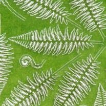 AK Interactive AK8134 FERN 1/32 AND 1/35 – zdjęcie 2