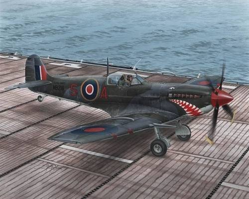 Special Hobby 48102 Supermarine Seafire Mk.II Torch & Avalanche 1/48