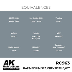 AK Interactive RC963 RAF Medium Sea Gray BS381C/637 17 ml – image 3