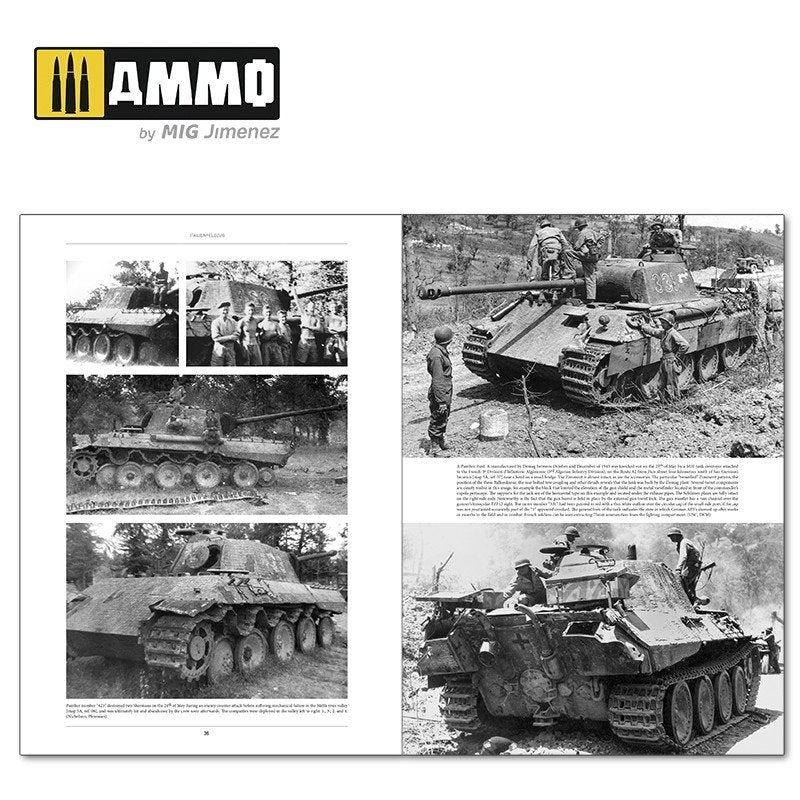Ammo of Mig 6263 ITALIENFELDZUG. German Tanks and Vehicles 1943-1945 Vol. 2 – image 3