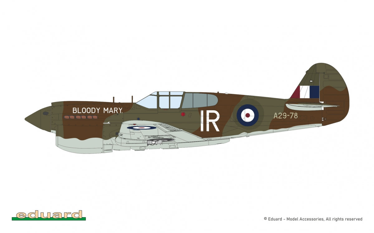 Eduard 11185 Pacific Star P-40E Warhawk - The Limited Edition 1/48 – image 9