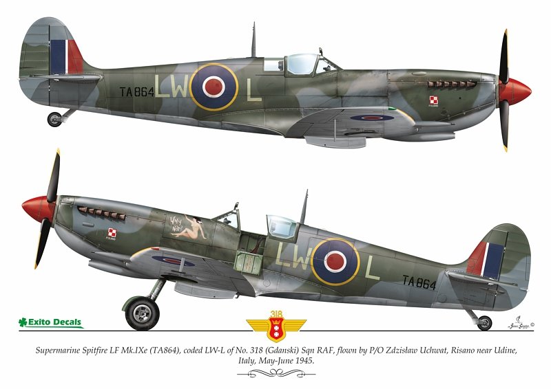 Exito ED72003 DECALS Sexy Spitfires - Supermarine Spitfire LF Mk Vb - VIII - IXe 1/72 – image 5
