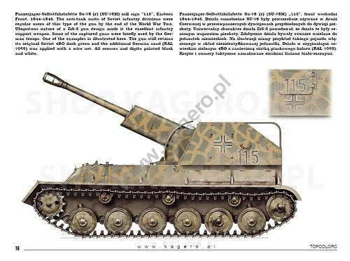 Kagero 15041 Beutepanzer (decals) PL/EN – image 5