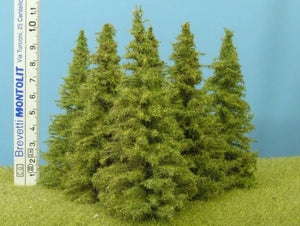 Model Scene MO100 Larch 9/10cm (6pcs)