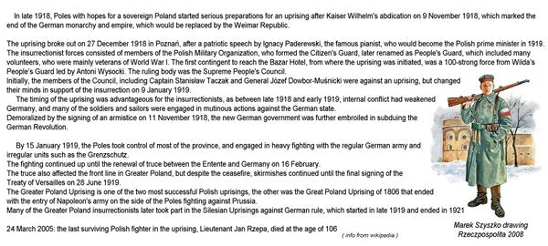 ToRo Model 35F114 Greater Poland Forces 1919 - Gen. Józef Dwobor-Muśnicki / Greater Poland Forces 1919 General Józef Dowbor-Muśnicki Commander-in-chief of Greater Poland Forces 1/35 – image 3