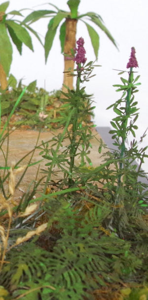 RT-Diorama 35621 Jungle Plant No.8 1/35 – zdjęcie 3