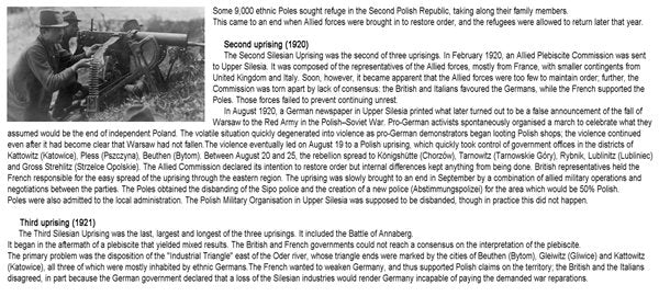 ToRo Model 35F124 Silesian Uprising - Lt.Mar. Robert Oszek - Squad Commander / Silesian Uprising 1921 Lt. Robert Oszek Special Assault Squad Commander 1/35 – image 3