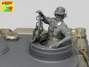 Aber 16K02 Pz.Kpfw. VI Ausf.E (Sd.Kfz.181) Tiger I – s.PzAbt. 501 in Tunisia 1/16 – zdjęcie 7