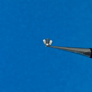 Point of no Return 1623004 M12 wing nuts 1/16 – image 6