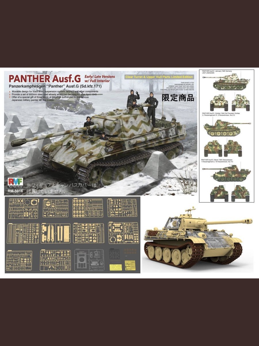 Rye Field Model 5016 Panther Ausf.G Early/Late w/full interior 1/35 – zdjęcie 2