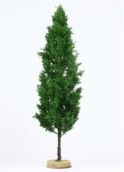 FREON TOP1 Poplar - Topola 18/22cm